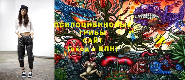 первитин Кукмор
