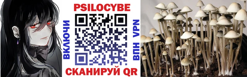 Псилоцибиновые грибы Psilocybe Ильский